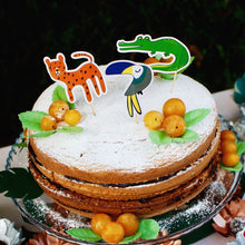 Load image into Gallery viewer, Wild One Cake Toppers - Pooka Party
