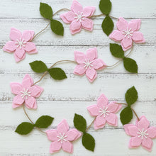 Load image into Gallery viewer, Cat Ballerina Party Supplies in a Box - Pooka Party