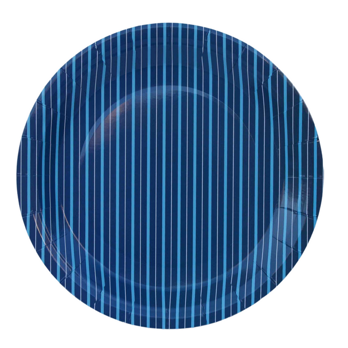 Light blue and Navy Blue paper plates top view - Pooka Party